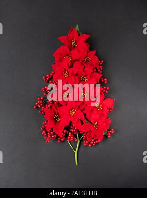 Arbre de Noël créatif de Poinsettia fleurs rouge isolé sur un fond noir. Télévision lay, concept de vacances de Noël. Banque D'Images