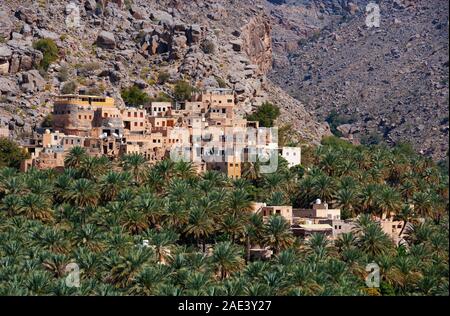 Palm Grove, In Misfat al Abriyyin, Ad Dakhiliyah, région de l'Oman Banque D'Images