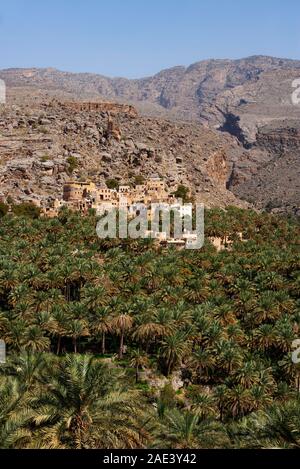 Palm Grove, In Misfat al Abriyyin, Ad Dakhiliyah, région de l'Oman Banque D'Images