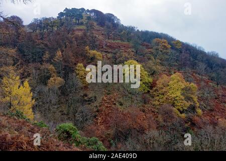 Une vue de la colline du bois, Alva, Stirlingshire, Scotland Banque D'Images