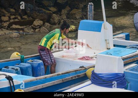 Nettoyage du poisson pêcheur dans le marché de poissons de Puerto Ayora, l'île Santa Cruz, Galapagos, Équateur Banque D'Images