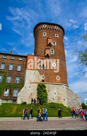 Château de Wawel Cracovie Pologne Casimir eu Europe UNESCO Banque D'Images