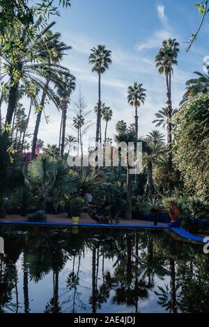 Jardin Majorelle à Marrakech, Maroc Banque D'Images