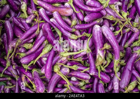 Image plein cadre d'aubergines violet frais vendus dans un marché à Mandalay, Myanmar (Birmanie) Banque D'Images