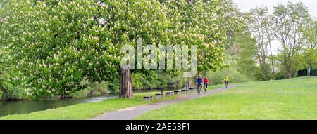 Les cyclistes qui font du vélo sur un piste cyclable dans un parc au bord de la rivière Ohře (rivière Eger) Terezin République tchèque Banque D'Images