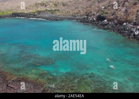 Belle plongée Tijeretas Bay, Ile San Cristobal, îles Galapagos, Equateur Banque D'Images