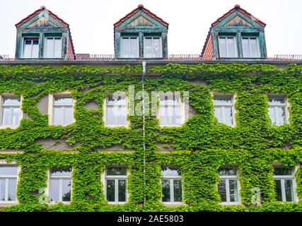 Bâtiment avec jardin vertical en Alaunstrasse Dresde Neustadt Allemagne Saxe. Banque D'Images