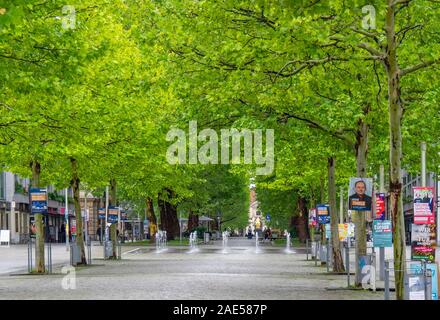 Hauptstrasse avenue piétonne bordée d'arbres au printemps sycomores Innere Neustadt Dresden Saxe en Allemagne. Banque D'Images