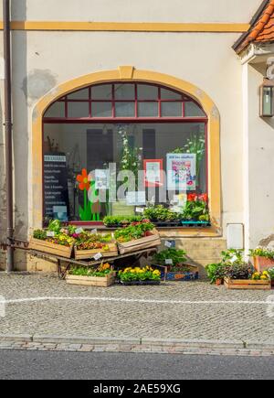 Boîtes de pots de fleurs exposées en dehors d'un magasin de fleuristes à Strehla Saxe Allemagne. Banque D'Images