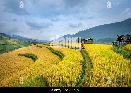 Mu Cang Chai, Province de Yen Bai, Vietnam - 18 septembre 2019 : H'Mong femme agriculteur sur terrasse rizières sur montagne à Mu Cang Chai, Yen Bai provi Banque D'Images