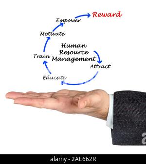 Schéma de la gestion des ressources humaines. Banque D'Images