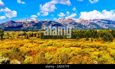 Couleurs d'automne entourant le nuage de l'Grand Tetons dans Grand Tetons National Park. Vu de près des Étangs noirs donnent sur Jackson Hole WY Banque D'Images