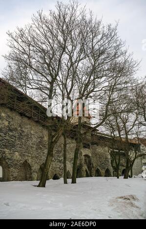 Tour stable et la ville médiévale de Tallinn à l'allée en hiver. L'Estonie Banque D'Images