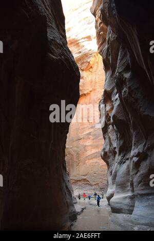 Les randonneurs patauger dans la rivière vierge dans les passes. La rivière a sculpté le canyon au cours d'innombrables années. Banque D'Images