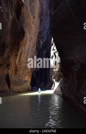 Les randonneurs patauger dans la rivière vierge dans les passes. La rivière a sculpté le canyon au cours d'innombrables années. Banque D'Images