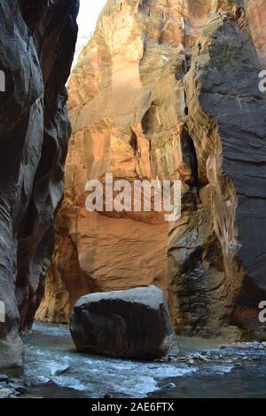 Boulder dans le chemin de la Vierge, de la rivière qui s'écoule à travers le passage de l'article de Zion National Park. La lumière lave le canyon de grès derrière. Banque D'Images