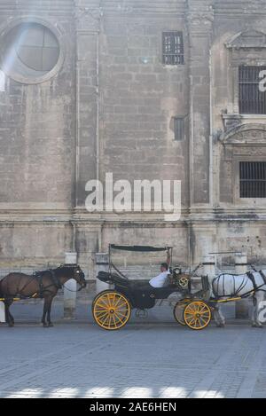 Des calèches tirées par la queue devant la cathédrale de Séville de prendre des passagers à une balade à travers la vieille ville. Banque D'Images