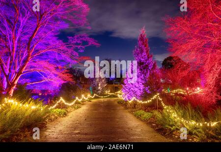 RHS Wisley, Surrey, UK. Hiver 2019 RHS Gardens Glow. 6e décembre 2019. Sentier enchanteur avec installations de lumière éblouissante sur le thème les 4 saisons toute illuminée la nuit pendant les fêtes du 7 décembre 2019 - 5 janvier 2020. L'événement a vendu des billets à l'avance pour Décembre. Credit : Malcolm Park/Alamy. Banque D'Images