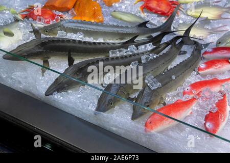 Le pétrole brut de l'esturgeon, de crabes et d'autres poissons poisson cuit pas couché sur la glace sur un compteur dans un supermarché. Le poisson frais Banque D'Images