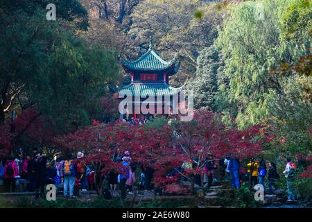 Changsha, Chine, province du Hunan. 7 Décembre, 2019. Les touristes profiter de feuilles d'érable sur la montagne Yuelu à Changsha, Province du Hunan en Chine centrale, 7 décembre 2019. Credit : Xue Yuge/Xinhua/Alamy Live News Banque D'Images