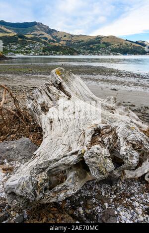 Voir d'Akaroa vu de Children's Bay (Ōtāhuahua), Auxerre, France Banque D'Images