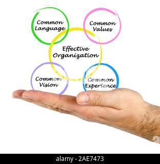 Des organisations efficaces Banque D'Images