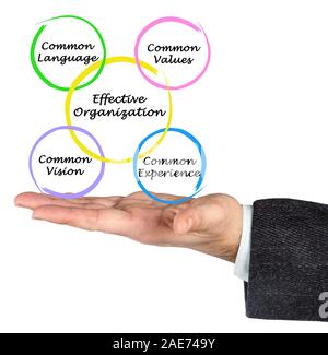 Des organisations efficaces Banque D'Images