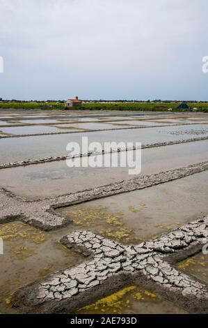 Marais de sel sur l'île de Noirmoutier, Vendée (85), région Pays de la Loire, France Banque D'Images