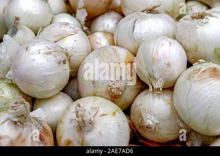 Des légumes de saison sont empilées dans des boîtes à l'épicerie. Oignons blancs shot close-up. Produits naturels pour la cuisson des aliments sains. Banque D'Images