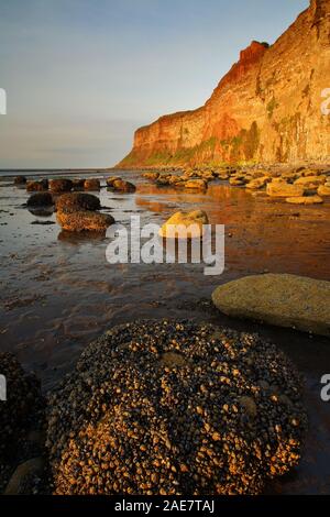 Paris Plage avec Hunt Cliff dans l'arrière-plan, North Yorkshire, Angleterre, Royaume-Uni. Banque D'Images