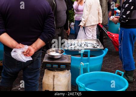 Catane, Italie - AVRIL 26 : Vue de la célèbre rue Marché aux poissons, sur le 26 avril, 2019 Banque D'Images