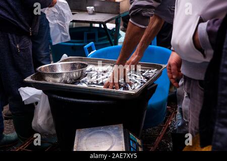 Catane, Italie - AVRIL 26 Vendeur : placer les sardines dans la stalle de poissons à la rue Marché aux poissons, sur le 26 avril, 2019 Banque D'Images