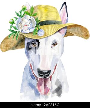 Joli Chien. T-shirt pour chien graphiques. aquarelle bull terrier illustration avec couronne d'argent Banque D'Images