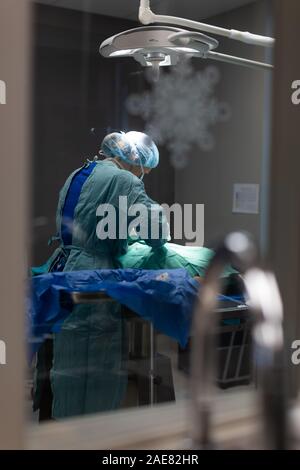 Un chirurgien vétérinaire effectue une opération sur un chien à l'intérieur d'une salle d'opération dans une clinique vétérinaire. Banque D'Images