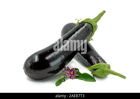 Aubergines fraîches avec feuille et blossom isolé sur fond blanc Banque D'Images