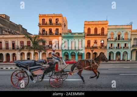 Paseo del Prado, La Havane, Cuba, Amérique du Nord Banque D'Images