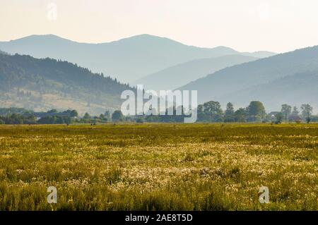 Paysage de montagnes dans le massif des Carpates, l'Ukraine Banque D'Images