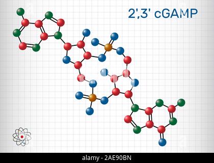 C-GMP-AMP, 2',3', cGAMP-monophosphate cyclique de guanosine monophosphate d'adénosine molécule. Le modèle moléculaire. Feuille de papier dans une cage. Vector illustratio Illustration de Vecteur