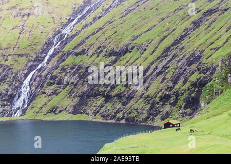 Saksun, Stremnoy island, îles Féroé, Danemark. Maison typique avec toit d'herbe devant le fjord. Banque D'Images