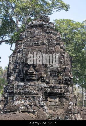 Cambodge, temple Bayon - Mars 2016 : Bayon est remarquable pour les 216 visages de pierre sereine et souriante sur les nombreux tours émergeant de la terra haute Banque D'Images