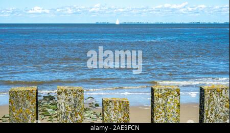 Hauts des postes d'un sentier côtier le long de la rivière Elbe Cuxhaven Basse-Saxe Allemagne. Banque D'Images