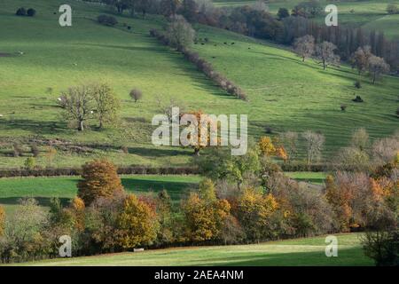 Campagne des Cotswolds près de Broadway à l'automne, Cotswolds, Worcestershire, Angleterre. Banque D'Images