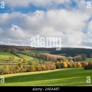 Campagne des Cotswolds près de Broadway à l'automne, Cotswolds, Worcestershire, Angleterre. Banque D'Images