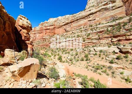 Laver Grand Trail, Capitol Reef National Park, Utah Banque D'Images