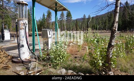 Le Canton de Dardanelle abandonné vintage pompe à gaz. La repousse après la Donnell Incendie dans la Forêt Nationale Stanislaus sur l'autoroute 108, en Californie. Banque D'Images