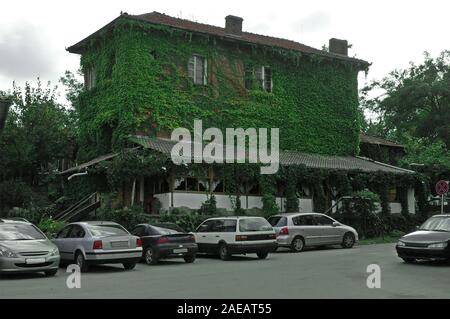 Superbe maison en brique couverte de lierre ou hedera dans l'été à Veliko Tarnovo, Bulgarie, Europe Banque D'Images