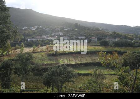 Vue sur les vignobles et le village de la région viticole du Vinho Verde.Asnela, CERVA, Ribeira de Pena. Banque D'Images