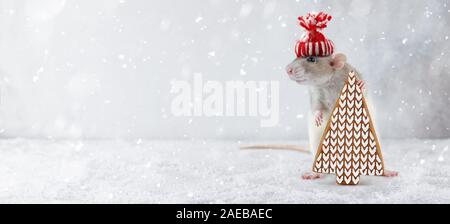 Nouvelle année rat holding Christmas Tree gingerbread cookie dans la neige. Le nouvel an chinois 2020 concept créatif. Banque D'Images