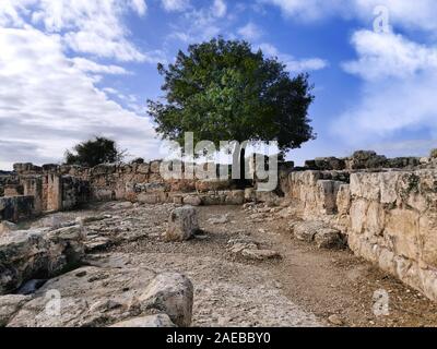 Ruines antiques dans Adulam réserve naturelle depuis la révolte de Bar Kochba. Arbre et l'ancienne place. Banque D'Images