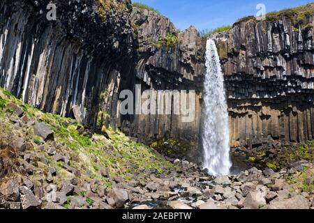 La célèbre et belle en Islande Svartifoss, entourée de colonnes de basalte. Banque D'Images